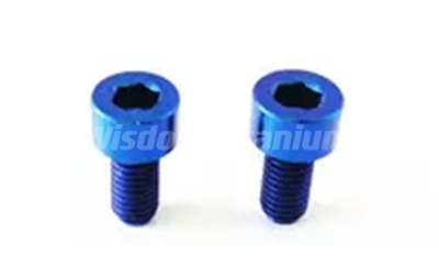 Titanium Parallel Socket Head Screw